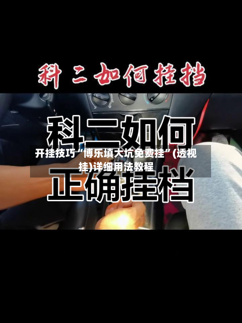 开挂技巧“博乐填大坑免费挂”(透视挂)详细用法教程