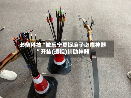 必备科技“微乐宁夏捉麻子必赢神器”开挂(透视)辅助神器-第3张图片