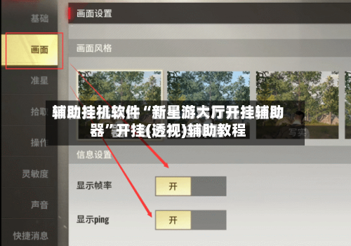 辅助挂机软件“新星游大厅开挂辅助器”开挂(透视)辅助教程