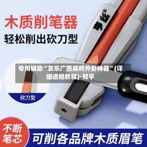 专用辅助“友乐广西麻将外卦神器”(详细透视教程)-知乎-第3张图片