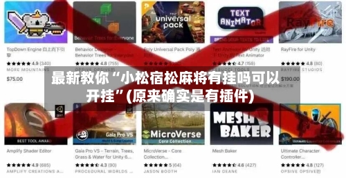 最新教你“小松宿松麻将有挂吗可以开挂	”(原来确实是有插件)-第2张图片