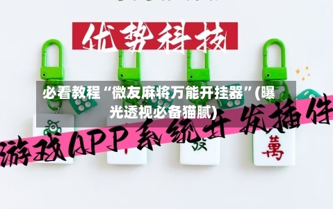 必看教程“微友麻将万能开挂器	”(曝光透视必备猫腻)-第2张图片