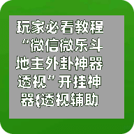 玩家必看教程“微信微乐斗地主外卦神器透视”开挂神器{透视辅助}全揭秘-第2张图片