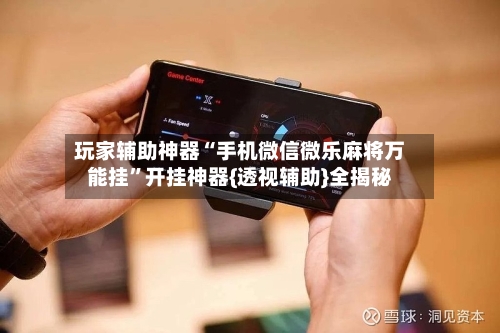 玩家辅助神器“手机微信微乐麻将万能挂”开挂神器{透视辅助}全揭秘