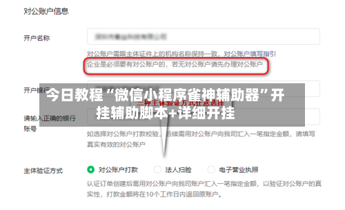 今日教程“微信小程序雀神辅助器”开挂辅助脚本+详细开挂-第2张图片
