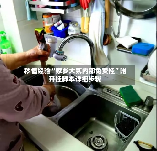 秒懂经验“家乡大贰内部免费挂	”附开挂脚本详细步骤-第2张图片