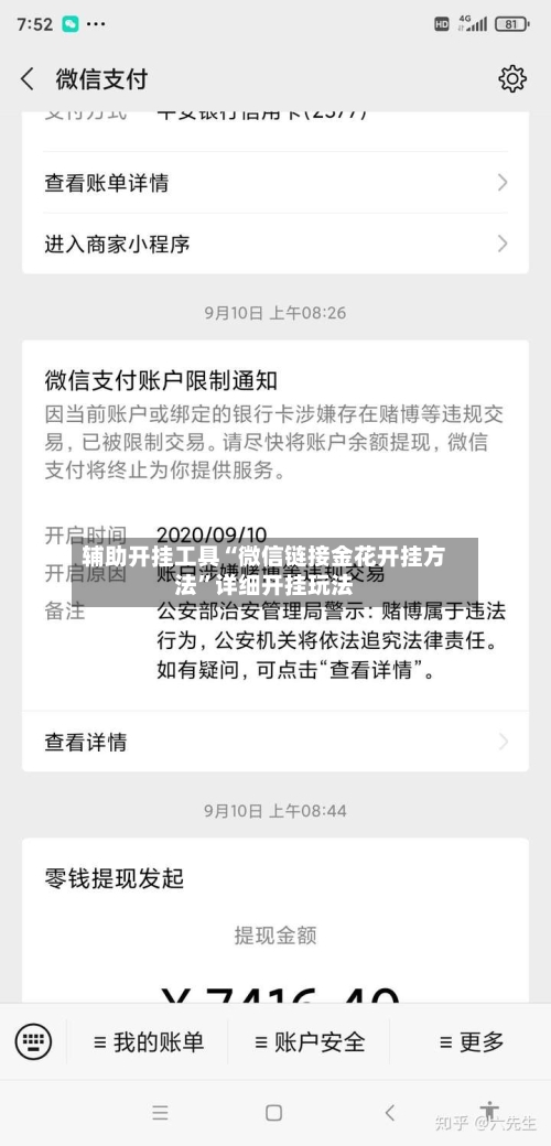 辅助开挂工具“微信链接金花开挂方法”详细开挂玩法-第3张图片