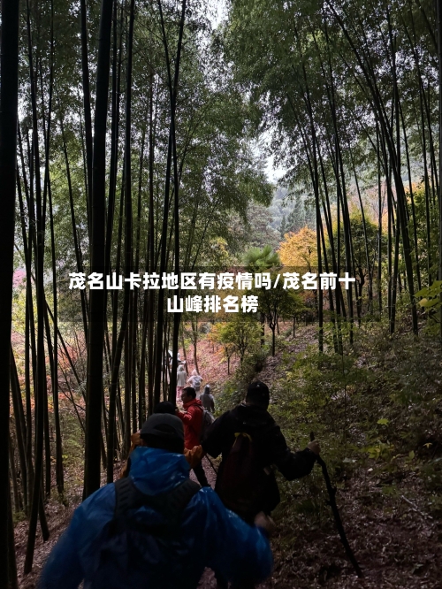 茂名山卡拉地区有疫情吗/茂名前十山峰排名榜