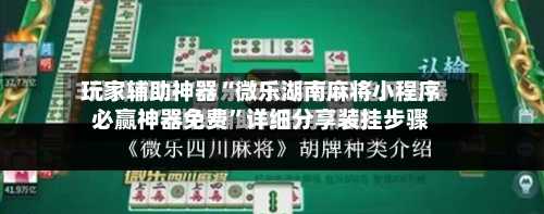 玩家辅助神器“微乐湖南麻将小程序必赢神器免费”详细分享装挂步骤-第2张图片