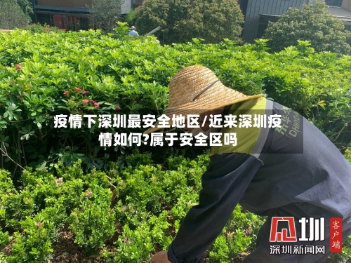 疫情下深圳最安全地区/近来深圳疫情如何?属于安全区吗