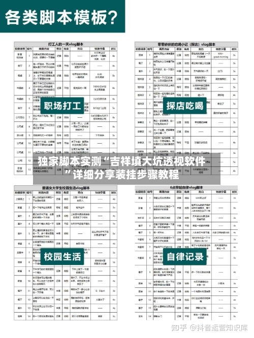 独家脚本实测“吉祥填大坑透视软件”详细分享装挂步骤教程-第3张图片