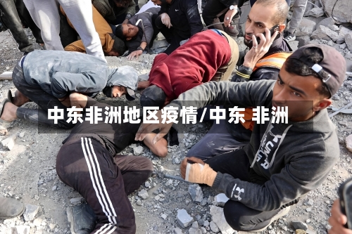 中东非洲地区疫情/中东 非洲