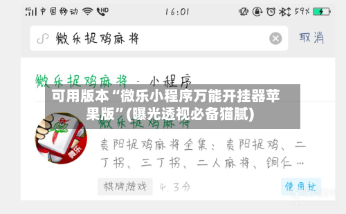 可用版本“微乐小程序万能开挂器苹果版	”(曝光透视必备猫腻)-第3张图片