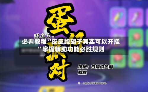 必看教程“皮皮跑胡子其实可以开挂”掌握辅助功能必胜规则-第2张图片