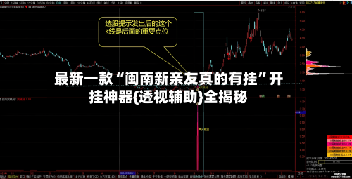 最新一款“闽南新亲友真的有挂	”开挂神器{透视辅助}全揭秘-第2张图片