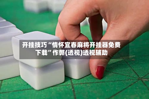 开挂技巧“情怀宜春麻将开挂器免费下载	”作弊(透视)透视辅助-第3张图片