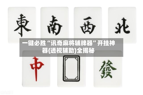 一键必胜“讯奇麻将辅牌器”开挂神器{透视辅助}全揭秘-第2张图片