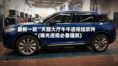 最新一款“天酷大厅牛牛透视挂软件”(曝光透视必备猫腻)-第2张图片