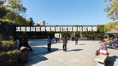 沈阳皇姑区疫情地区(沈阳皇姑区有疫情)