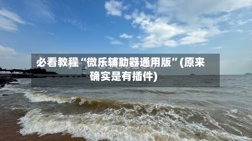 必看教程“微乐辅助器通用版”(原来确实是有插件)-第3张图片