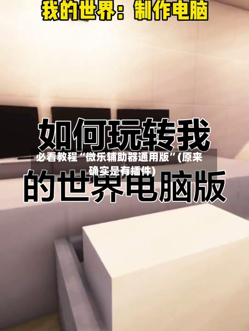 必看教程“微乐辅助器通用版	”(原来确实是有插件)-第2张图片