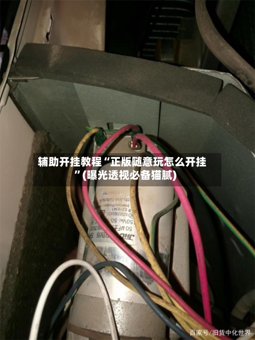 辅助开挂教程“正版随意玩怎么开挂”(曝光透视必备猫腻)