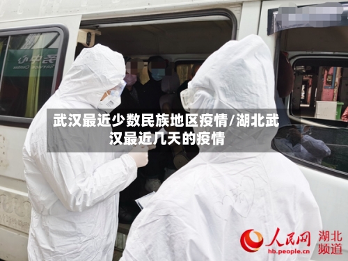 武汉最近少数民族地区疫情/湖北武汉最近几天的疫情