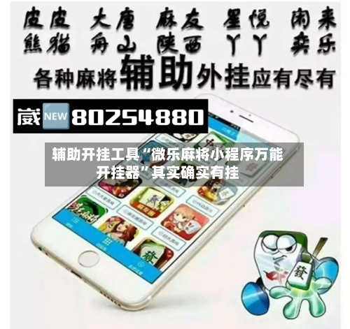 辅助开挂工具“微乐麻将小程序万能开挂器”其实确实有挂-第2张图片