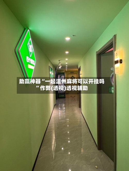 助赢神器“一起温州麻将可以开挂吗”作弊(透视)透视辅助-第3张图片