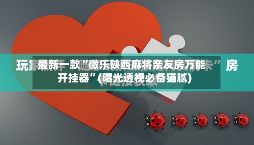 最新一款“微乐陕西麻将亲友房万能开挂器”(曝光透视必备猫腻)-第1张图片