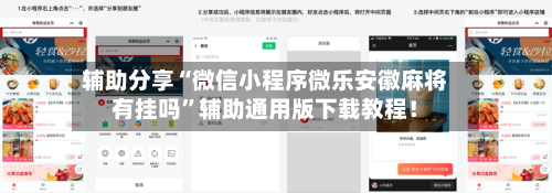 辅助分享“微信小程序微乐安徽麻将有挂吗”辅助通用版下载教程！-第3张图片