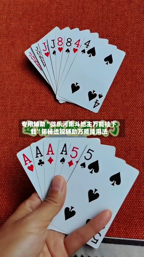 专用辅助“微乐河南斗地主万能挂下载”揭秘透视辅助万能挂用法-第3张图片