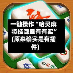 一键操作“哈灵麻将挂哪里有有买”(原来确实是有插件)-第2张图片