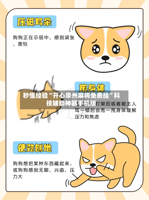 秒懂经验“开心泉州麻将免费挂”科技辅助神器手机版-第3张图片