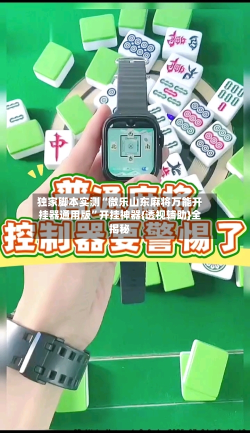 独家脚本实测“微乐山东麻将万能开挂器通用版”开挂神器{透视辅助}全揭秘-第2张图片