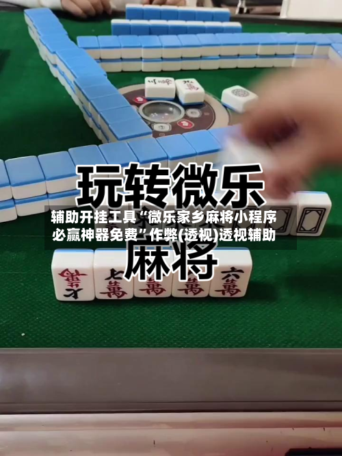 辅助开挂工具“微乐家乡麻将小程序必赢神器免费”作弊(透视)透视辅助-第3张图片