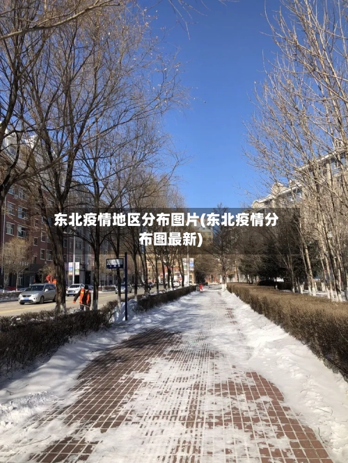东北疫情地区分布图片(东北疫情分布图最新)