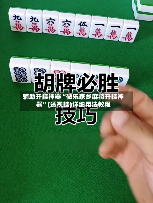 辅助开挂神器“微乐家乡麻将开挂神器”(透视挂)详细用法教程