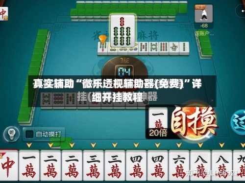 真实辅助“微乐透视辅助器(免费)	”详细开挂教程-第2张图片