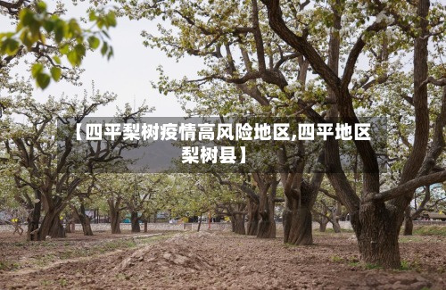 【四平梨树疫情高风险地区,四平地区梨树县】