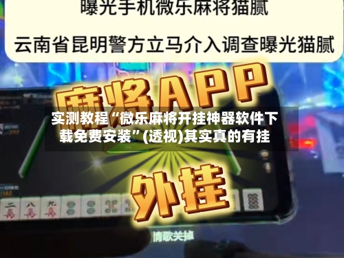 实测教程“微乐麻将开挂神器软件下载免费安装”(透视)其实真的有挂-第3张图片