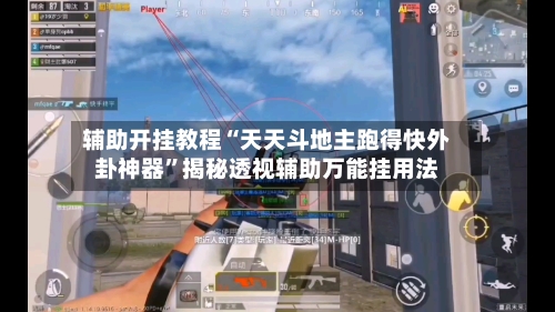 辅助开挂教程“天天斗地主跑得快外卦神器”揭秘透视辅助万能挂用法-第2张图片