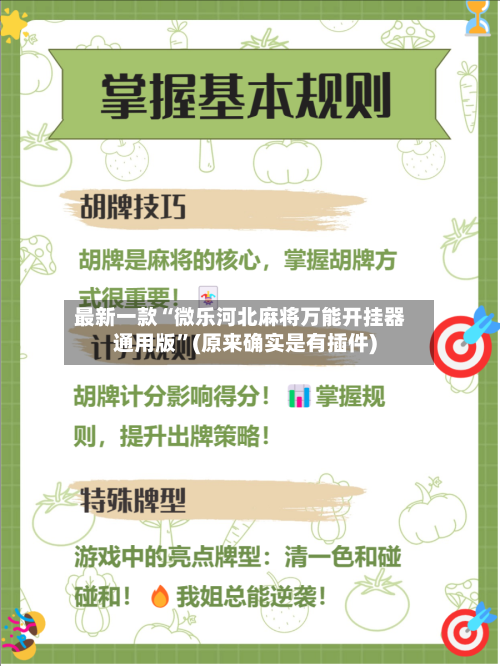 最新一款“微乐河北麻将万能开挂器通用版	”(原来确实是有插件)-第3张图片