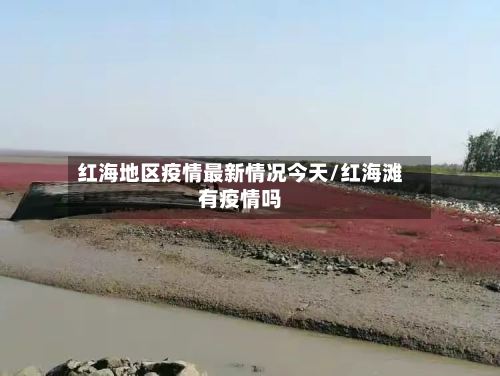 红海地区疫情最新情况今天/红海滩有疫情吗-第3张图片