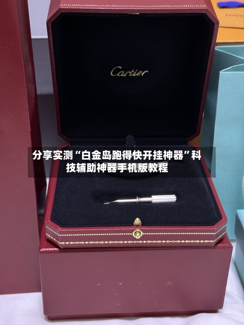 分享实测“白金岛跑得快开挂神器”科技辅助神器手机版教程-第3张图片