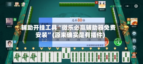 辅助开挂工具“微乐必赢辅助器免费安装”(原来确实是有插件)-第3张图片