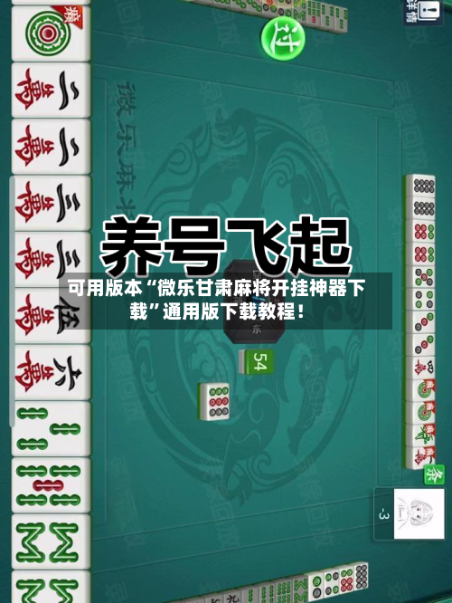 可用版本“微乐甘肃麻将开挂神器下载”通用版下载教程！-第2张图片