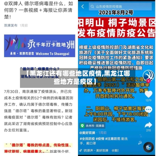 【黑龙江还有哪些地区疫情,黑龙江哪些地方是疫区】-第2张图片