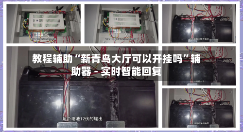 教程辅助“新青鸟大厅可以开挂吗”辅助器 - 实时智能回复-第2张图片