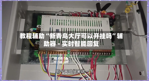 教程辅助“新青鸟大厅可以开挂吗”辅助器 - 实时智能回复-第3张图片